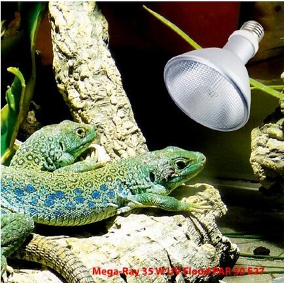 FTL Full Spectrum Reptile HID Lamp 35W 6500k UVB Bulb 6000K Daylight Alert Certificado por CE/ROHS