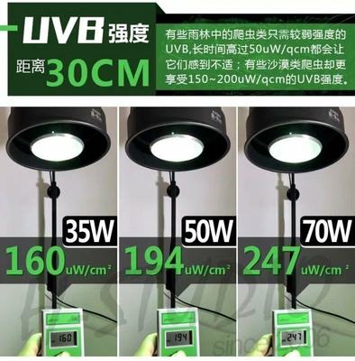 35W Reptile UVB PAR E27 Aluminio HID lámpara 6000K Alerta de luz diurna para el terrario
