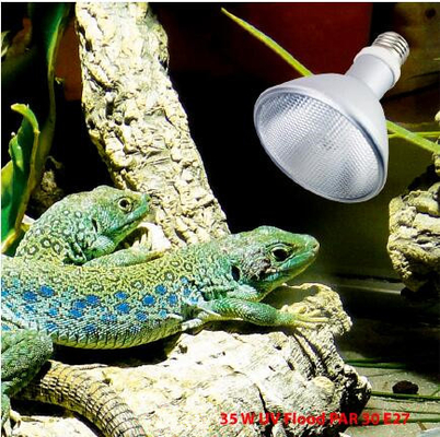 Lámpara HID de aluminio UVB Jungle Desert Serie 64/95/121mm Diámetro 93/118/138mm longitud 4000k-10000k Temperatura del color