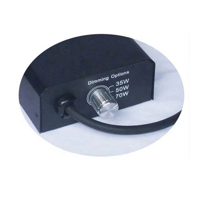 35W 50W 70W 110V-220V Multifuncción Disminuible Multifuncción Electrónica Balasto Para HID MH Lámpara de Reptiles Quarzo Luz Cerámica
